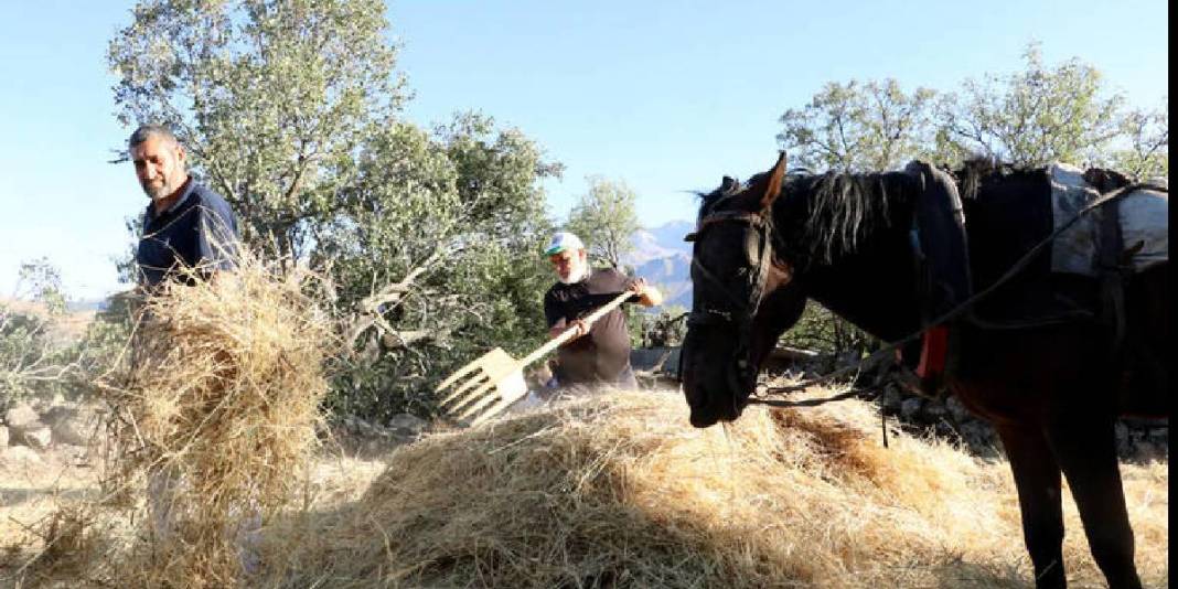 Erciyes eteklerinde yaşatılan gelenek: ‘Düven sürme’ olarak biliniyor, 3 arkadaş yapıyor! 5